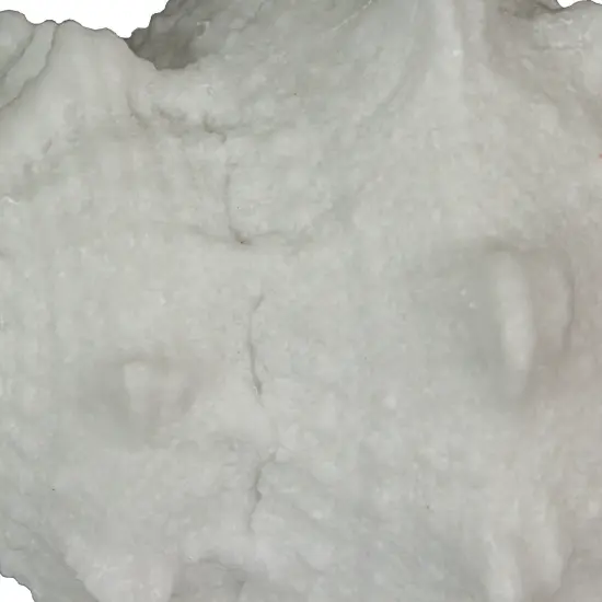 8 Inch Resin LED Frog Shell Accent Lamp Sea Table Light Nautical Home Decor {4}