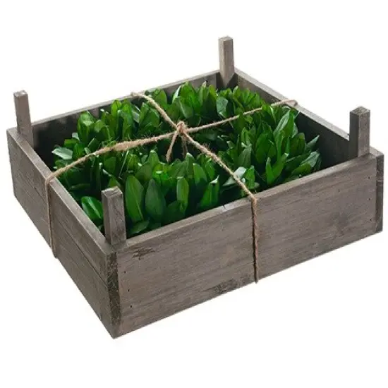 Allstate Bay Leaf Artificial Wreath in Wooden Frame Box - 14" - Green {1}