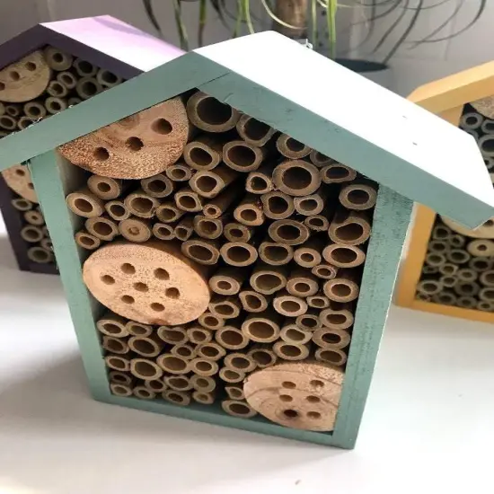 Sunny 1 Room Pollinator House Purple {5}