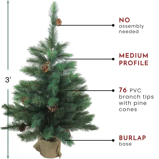 Northlight Medium Royal Oregon Pine Artificial Christmas Tree in Burlap Base - 3' - Unlit Green {4}