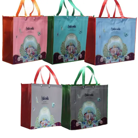 Non-Woven Tote Bags | Best Non woven tote bag for Shopping & Groceries | Eco-friendly bags| Paper grocery bags | Plastic grocery bags | Canvas grocery bags | Grocery totes, Jute grocery bags| Reusable Grocery Bag | Garment Bags-RADYAN&reg; {1}