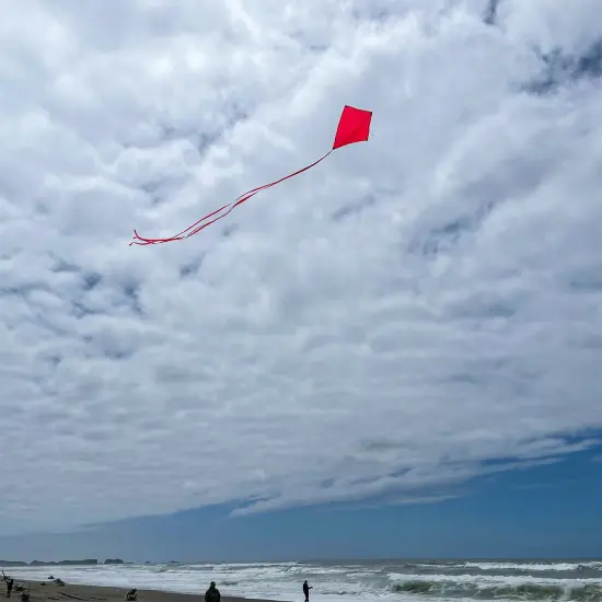 In the Breeze 3299 - Cherry 30 Inch Diamond Kite - Solid Red, Fun, Easy Flying Kite {3}