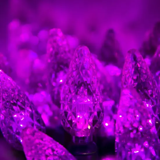 70 Purple C6 LED Christmas Lights, Green Wire, 4" Spacing {2}