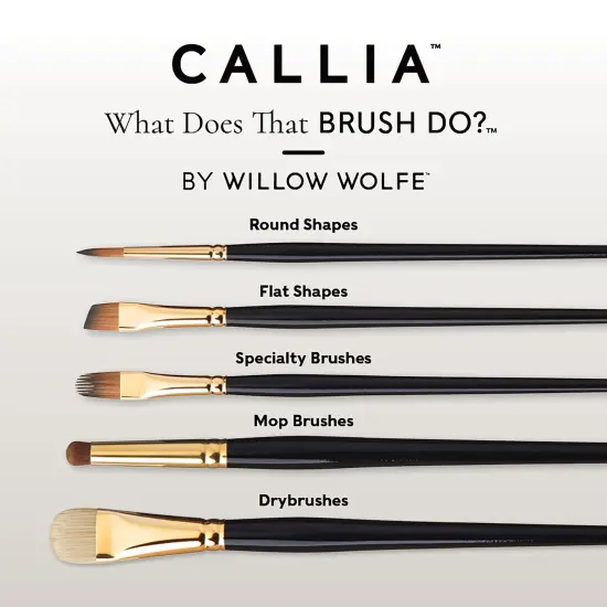 Willow Wolfe Callia Artist Acrylic & Oil Flowers Brush Set-Filberts, Chisel, Dodo Mop {5}