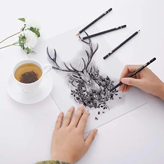 Professional Drawing Sketching Pencil Set - 14 Pieces,Graphite,(12B - 4H), Ideal for Drawing Art, Sketching, Shading, Artist Pencils for Beginners & Pro Artists {4}