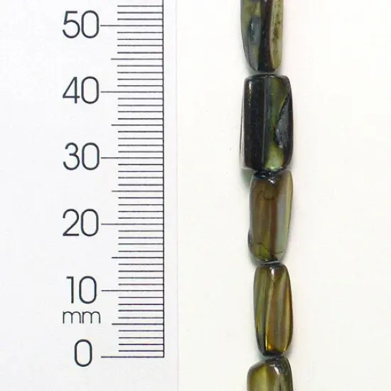 6 Packs of Tinted Shell Tube Olive 8 in Strand Pack of 2 {1}