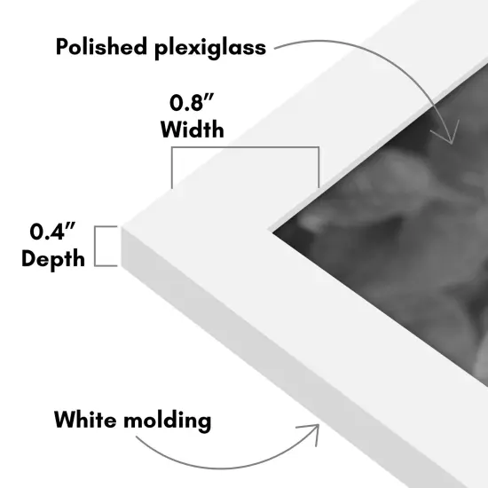 Americanflat Gallery Wall Picture Frames - Set of 12 - Picture Frame Set for Wall Collage - Plexiglass Cover - Hanging Hardware - Includes Easel {3}