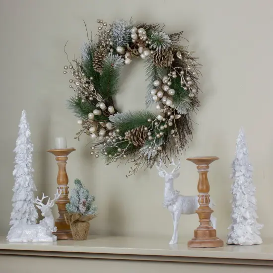 Northlight Acorn and Pine Cone Flocked Pine Needle Artificial Christmas Wreath - 22" - Unlit Green {3}