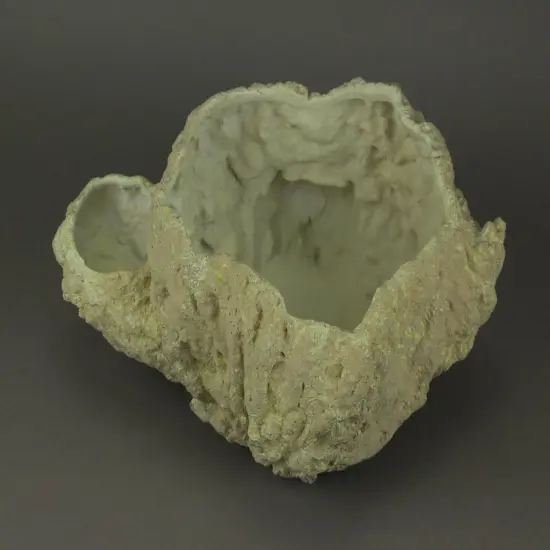 Off-White Fossilized Coral Decorative Coastal Decor Vase {4}