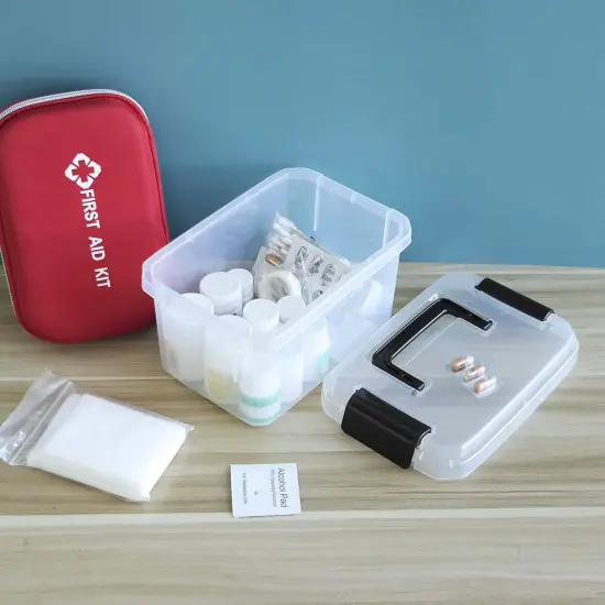 4 Pieces 2 L Clear Mini Plastic Storage Box, Tiny Clear Storage Bin {5}