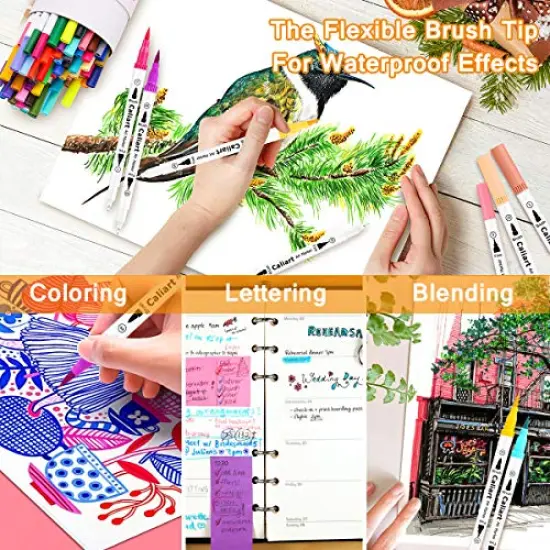 34 Double Tip Brush Pens Art Markers, Artist Fine & Brush Pen Coloring Markers for Kids Adult Book Halloween Journaling Note Taking Lettering Calligraphy Drawing Art Craft Supplies Kit {3}