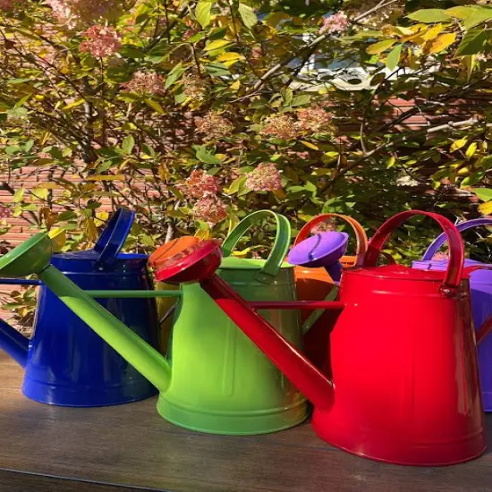 Large Watering Can - FUN COLORS Lilac {7}