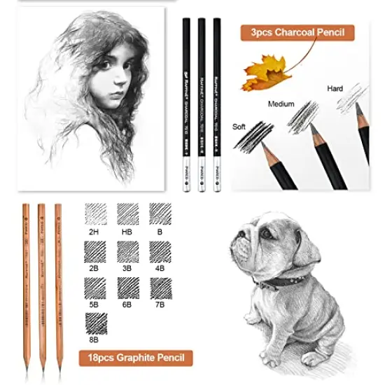 Drawing Pencils, Art Supplies Sketch Pencils Kit for Kids Adults, Professional Charcoal Sketching Graphite Art Pencils Set {6}