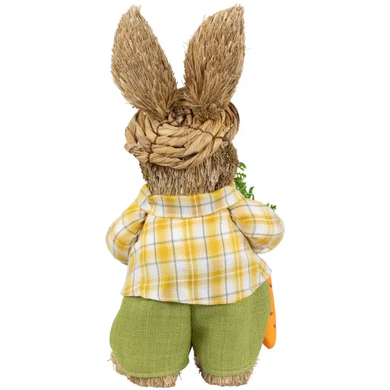 Northlight Rustic Boy Rabbit with Carrot Standing Easter Figure - 13.75" - Brown and Yellow {7}