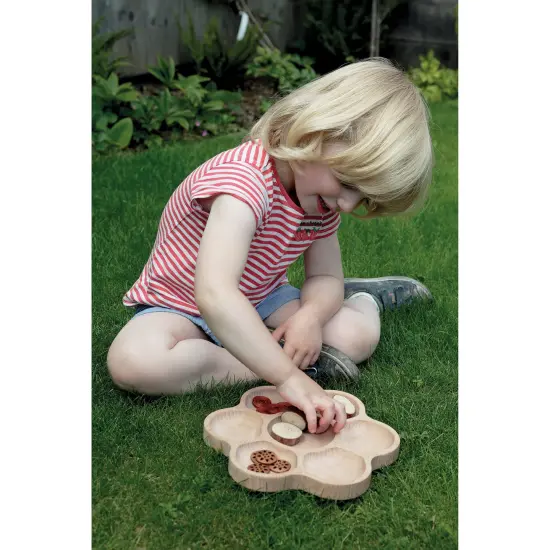 Natural Flower Tactile Tray, 6-Section {4}