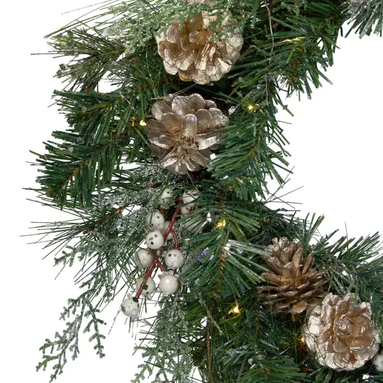 Northlight Pre-Lit Mixed Pine, Berry and Pine Cone Christmas Wreath - 22" - Clear LED Lights Gold {4}