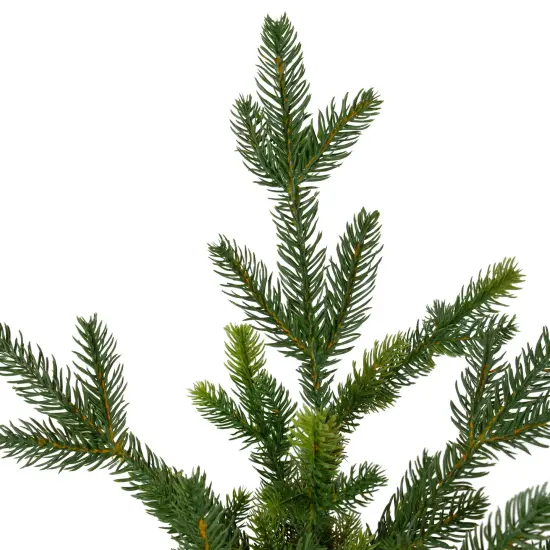 Northlight Real Touch™️Potted Noble Pine Slim Artificial Christmas Tree - 6' - Unlit Green {5}