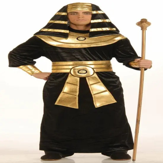 Egyptian Pharaoh Costume Adult {1}