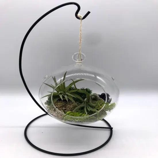 Hanging Glass Globe w/ Stand {6}