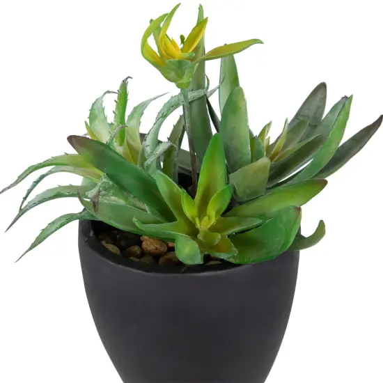 Northlight Potted Green Artificial Mixed Succulent Plant Arrangement - 11" {5}