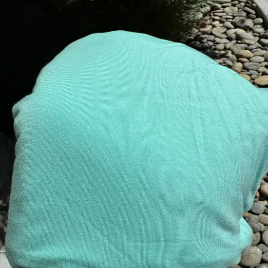 Mint Bamboo Spandex Solid {1}