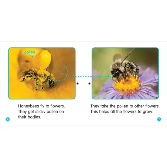 Guided Science Readers, Levels E-F, Parent Pack, Set of 12 Books {5}