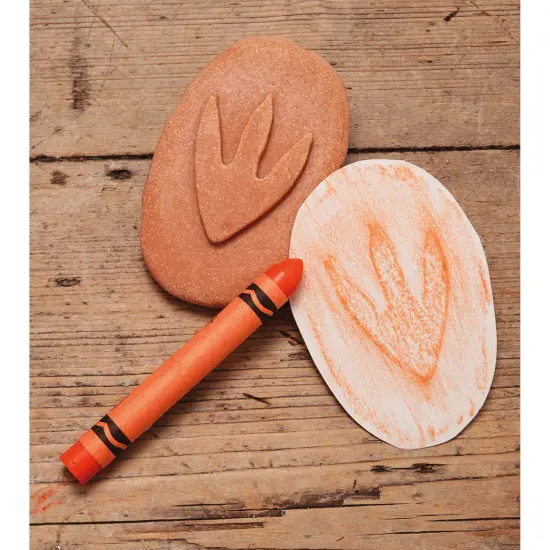 Let's Investigate Dinosaur Footprints {4}