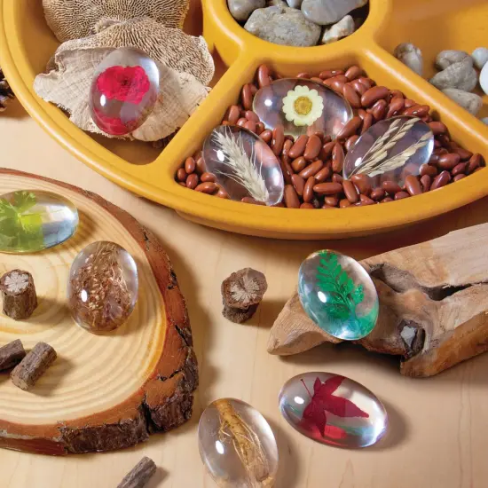 Kaplan Early Learning Company Specimen Stones: Plants - 9 Pieces {6}