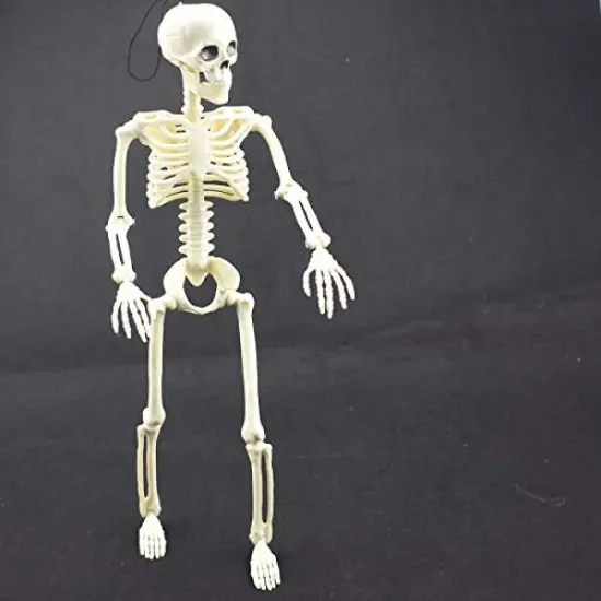 XONOR 16&rdquo; Posable Halloween Skeleton- Full Body Halloween Skeleton with Movable Joints for Haunted House Props Decorations (1pc) {4}