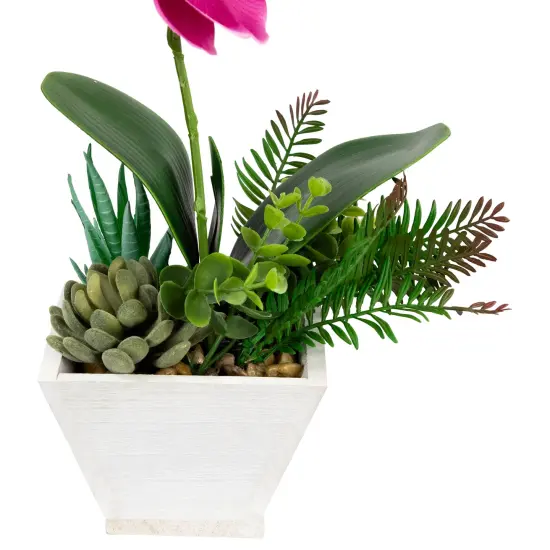 Northlight Artificial Orchid with Succulent Plants - 13" - Dark Pink {5}