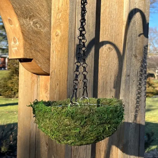 6" MOSS Hanging Basket - Circle Basket {4}