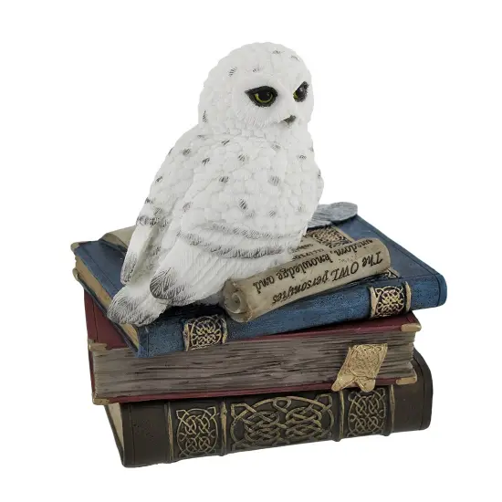 Wise Snow Owl Resting on Scholar`s Books Trinket Box {1}