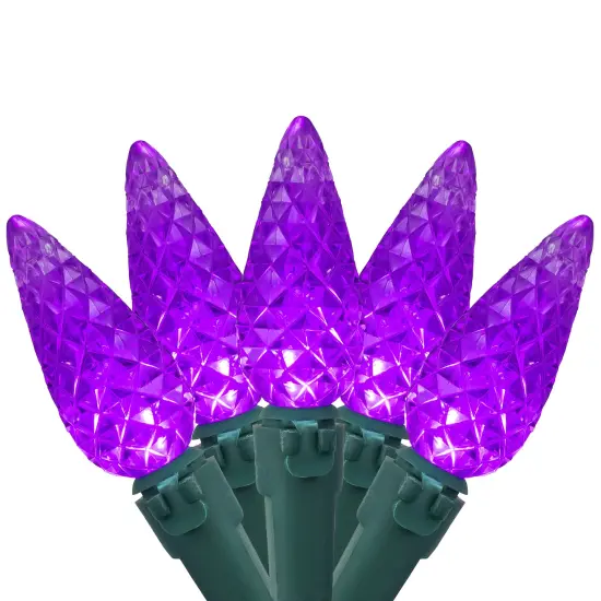 Northlight LED Faceted C6 Christmas Lights - Purple - 23' Green Wire - 70ct {3}