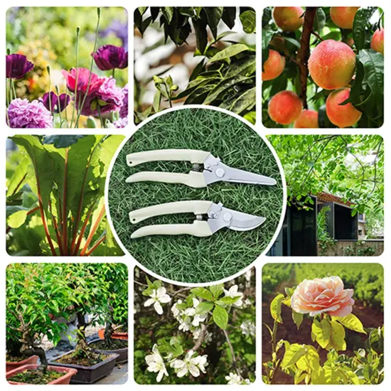 2 Pieces Premium garden shears, meperez pruning scissors gardening tools, pruners for flower, bushes, rose and fruit tree, use for florist, yard and orchard the plant clippers, sharp white steel anvil snips, 2 {6}