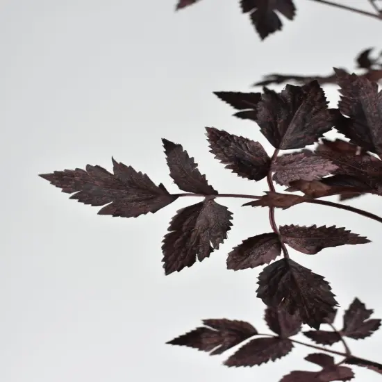 31" Faux Cimicifunga Ramosa Stem: Plum {5}