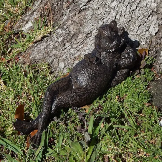 25686 Napping Frog Statue Relax Resting Meditating Zen Garden Buddha Sculpture Yoga Contented Talisman Gift Feng Shui Vastu Figurine {4}