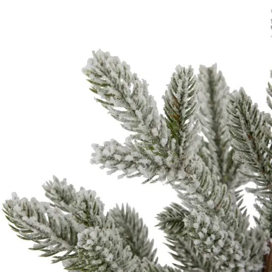 Northlight Mini Frosted Artificial Christmas Tree in Santa Pot - 14.75" - Unlit Green {7}