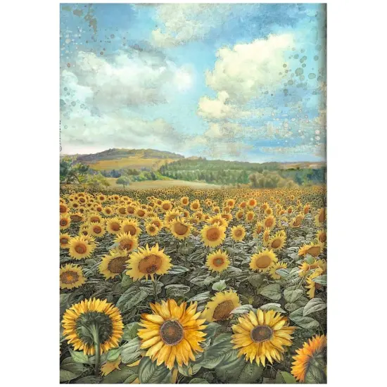 Stamperia Assorted Rice Paper A4 6/Sheets-Sunflower Art {5}