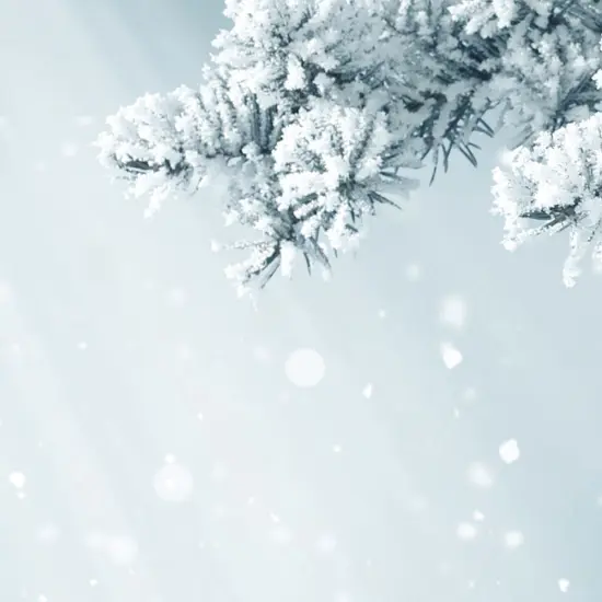 Great Papers! First Snowfall Holiday Letterhead, Invitations and Announcements, Printer Friendly 8.5" x 11", 80 Pack {2}