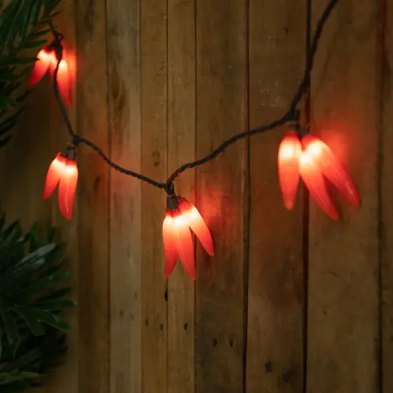 Northlight 36ct Orange Chili Pepper Clusters String Light Set, 7.5ft Brown Wire {5}