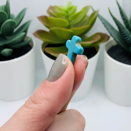 24 Turquoise colored Howlite Cross Beads {3}