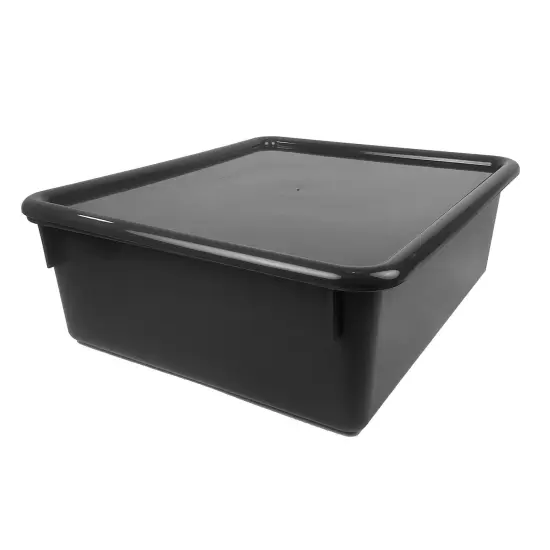 Double Stowaway&reg; Tray with Lid, Black {1}