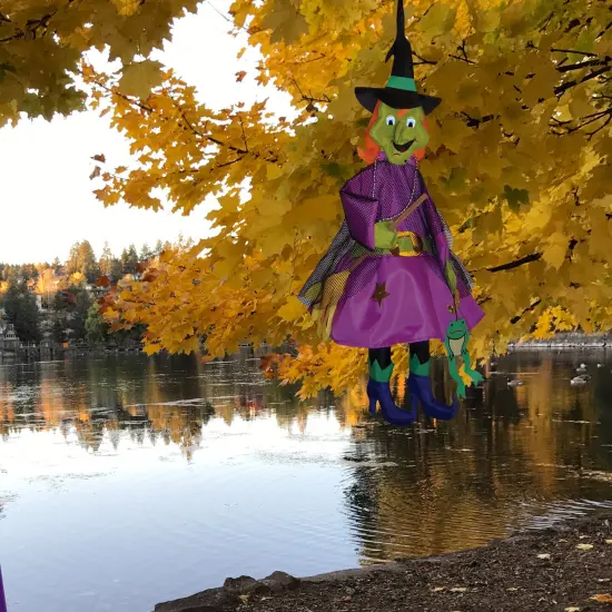 In the Breeze Witch Wind Friend 3D Windsock {5}