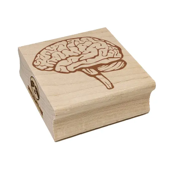 Human Brain with Cerebellum and Medulla Oblongata Square Rubber Stamp for Stamping Crafting {7}