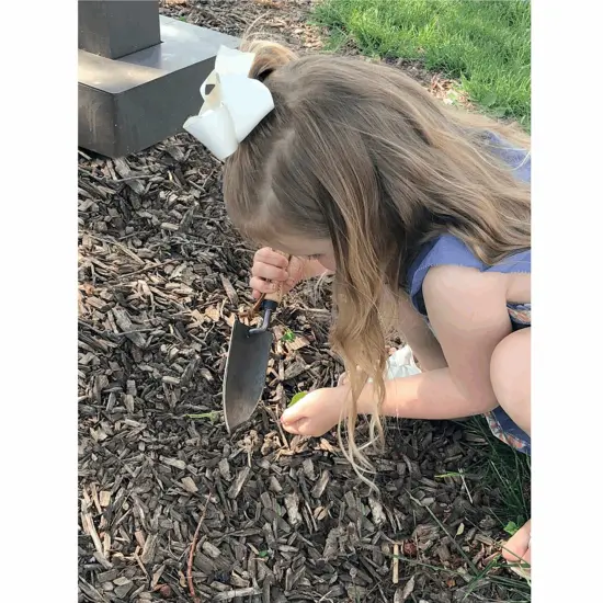 DeWit Junior Planting Trowel, Boron Steel and 9.5 Inch Long Ash Wood Handle, Fits Small Hands {3}