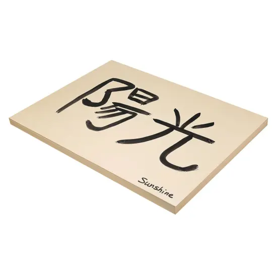 Medium Weight Tagboard, Manila, 18" x 24", 100 Sheets {2}