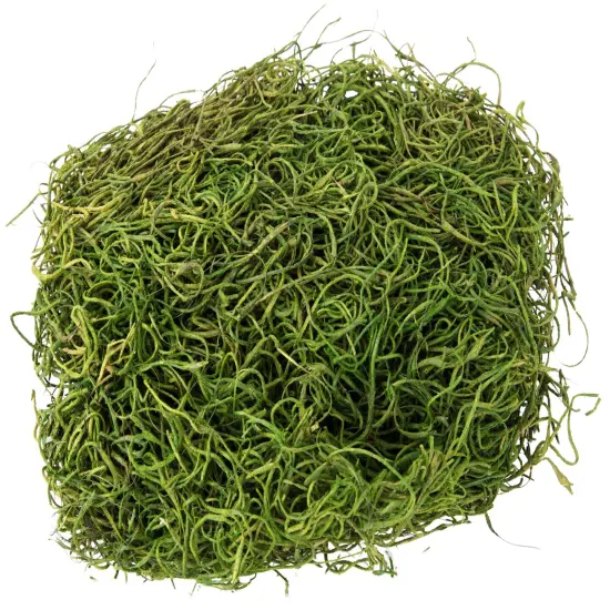 CousinDIY Preserved Moss 1oz-Assorted {5}