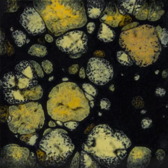 Black Iris Mayco Jungle Gem's Crystal Glaze 4oz Jar {1}