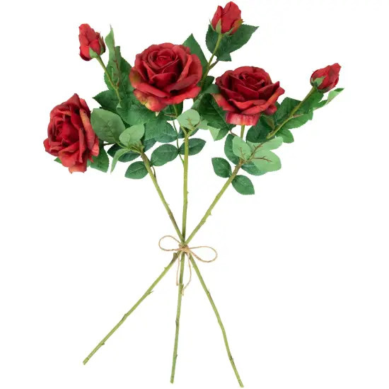 Northlight Real Touch&trade; Red Artificial Rose Stems, Set of 6 - 26" {5}