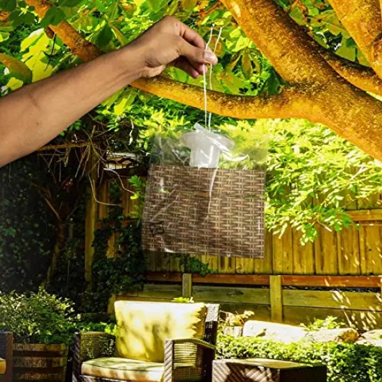 Black Flag Disposable Fly Trap, Attracts All Major Fly Species {2}